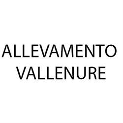 Allevamento Vallenure