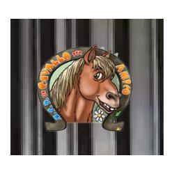 Un Cavallo per Amico