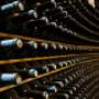Cantina Vini
