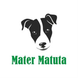 Allevamento Jack  Russell Terrier Mater Matuta