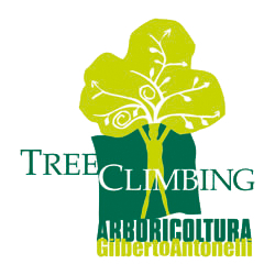 Tree Climbing