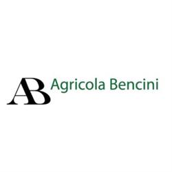 Ab Agricola Bencini Tommaso Bencini