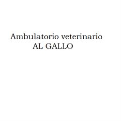 Ambulatorio Veterinario al Gallo