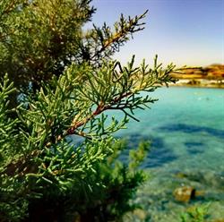 Le Stanze del Mare