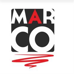 Marco Vanzi