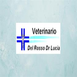 Ambulatorio Veterinario di Lucia Del Rosso