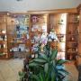 Gallery Professionale