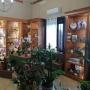 Gallery Professionale