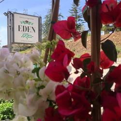 EDEN di Mario De Tommaso