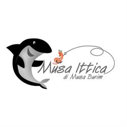 Musa Ittica