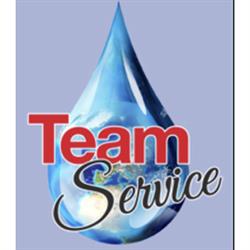Team Service