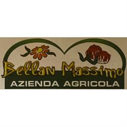 Bellan Massimo Azienda Agricola