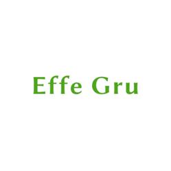 Effe Gru Srl FABIANI