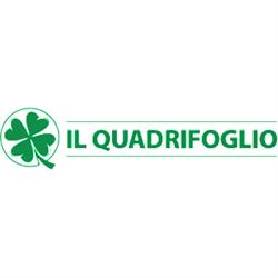 Il Quadrifoglio