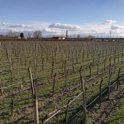 Società Agricola Le Querce