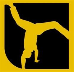 Moove Lab - personal trainer calisthenics pole dance Ferrara