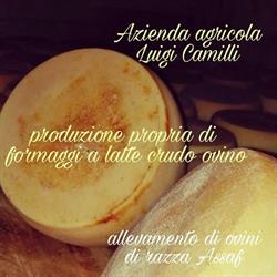 Az. Agricola Luigi Camilli