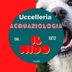 Uccelleria acquariologia  I L NIDO by Lucio