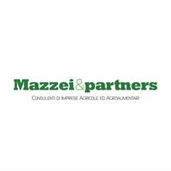 Mazzei & Partners