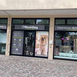 Wash Dog Rimini