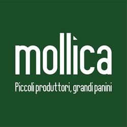 Mollica