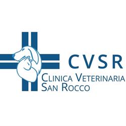 Clinica Veterinaria San Rocco Pietramelara