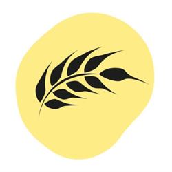 Panificio Fior di Pane di Cesari Adriano