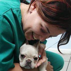 Veterinario Birba Elena