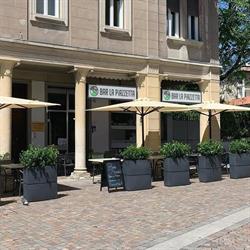 Bar la piazzetta