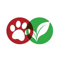 Bona B&P SAS