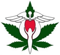 Il DispensArio CBD e Canapa