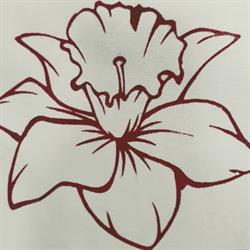 Narciso