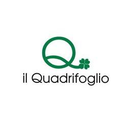 Il Quadrifoglio