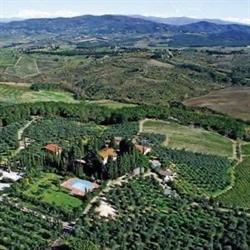 Trattoria dal Contadino