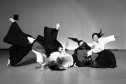 Ki Aikido Prato