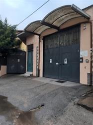 Darvini SRL- Vini & Spumanti