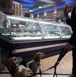Gelateria La Fontana
