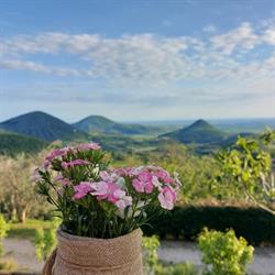 Agriturismo Alto Venda