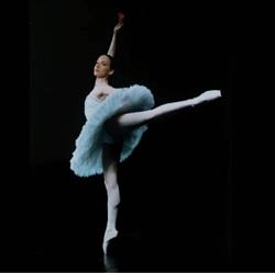 Accademia Del Balletto