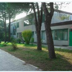 Istituto Comprensivo Statale Adele Zara