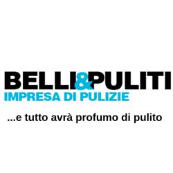 BELLI & PULITI S.N.C. DI FRANZOSI VITTORIO E C.