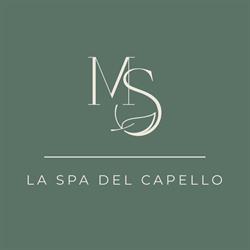 mS Concept SPA
