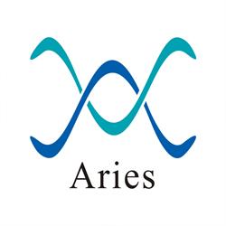 Aries Srl