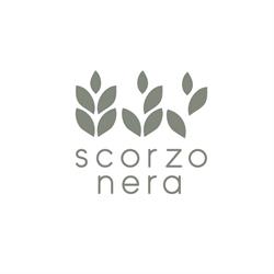 Scorzonera, Nicolosi