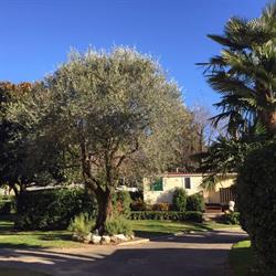 Camping Internazionale Paradis