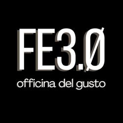 FE3.0