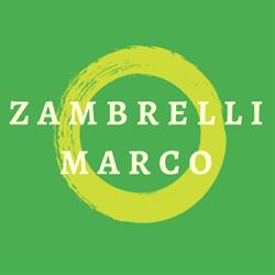 Marco Zambrelli Autoriparazioni