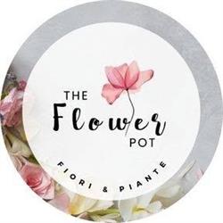 The Flower Pot - fiori e piante
