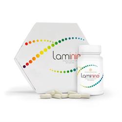 Lifepharm Italia
