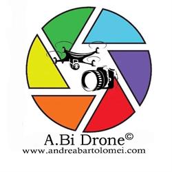 A.Bi Drone